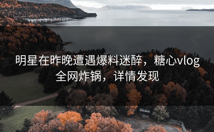 明星在昨晚遭遇爆料迷醉，糖心vlog全网炸锅，详情发现
