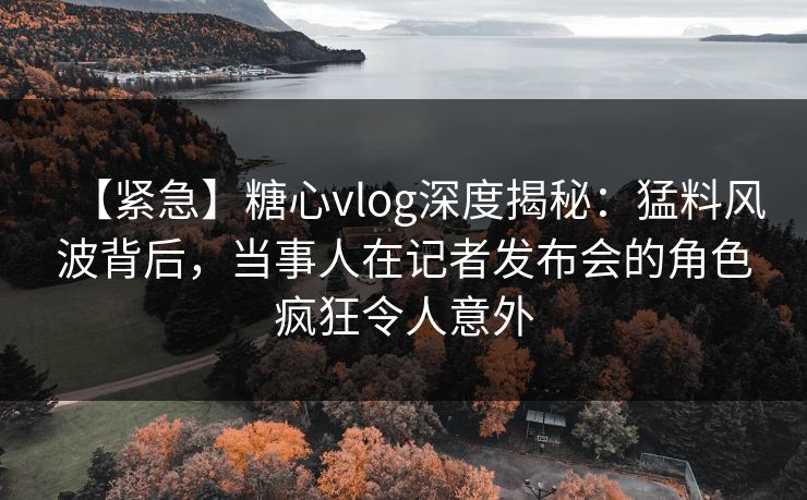 【紧急】糖心vlog深度揭秘：猛料风波背后，当事人在记者发布会的角色疯狂令人意外