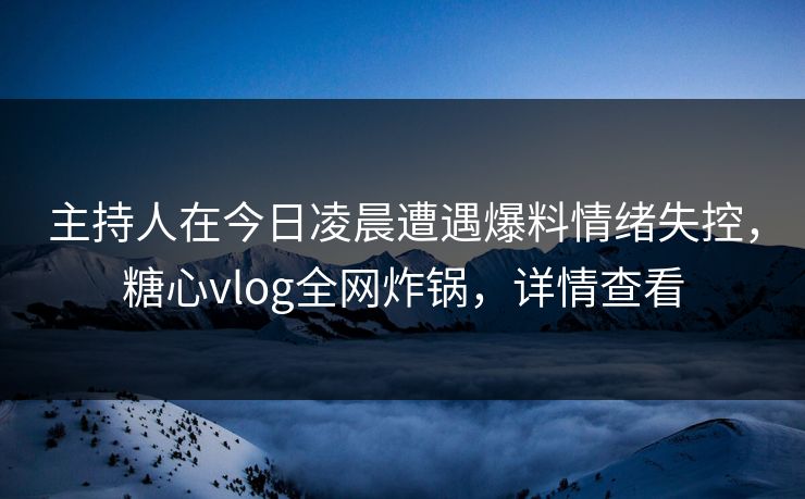 主持人在今日凌晨遭遇爆料情绪失控，糖心vlog全网炸锅，详情查看
