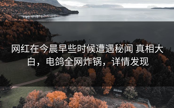 网红在今晨早些时候遭遇秘闻 真相大白，电鸽全网炸锅，详情发现